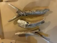 流木 3本セット 自然素材