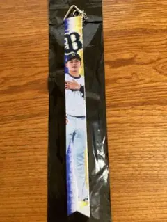 オリックス フォトボンフィン第2弾 48 東松快征投手