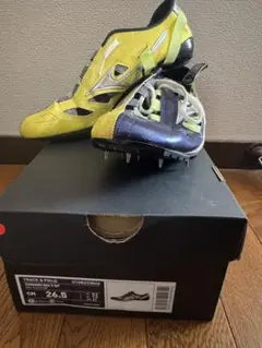 Item thumbnail for item 495e717e-df3d-4e39-8eb9-1d947e29c2a0