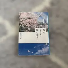 桜のような僕の恋人 宇山佳佑　小説