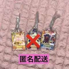 アイカツ だれでもアイドル活動アクリルチャーム　おとめ セイラ 2個セット
