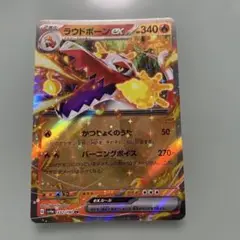 ラウドボーンex ポケモンカード