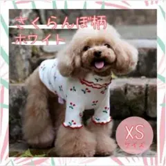 さくらんぼ柄 リブトップス ホワイト XSサイズ 可愛い 犬 ペット ドッグ