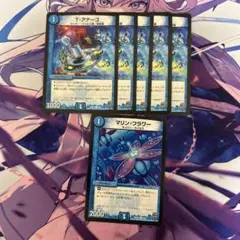T・アナーゴ 5枚セット
