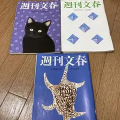 週刊文春 3冊セット　5月22日号　6月19日号　6月26日号