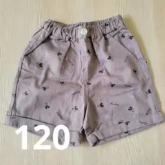リトシー　しまむら ディズニー　LITCC　120　半ズボン