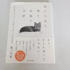 捨てられた僕と母猫と奇跡 : 心に傷を負った二人が新たに見つけた居場所