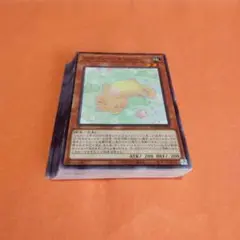 遊戯王　メルフィー・キャシィ3枚　おまけ付き