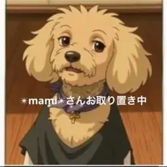 ✴︎mami✴︎さんご専用