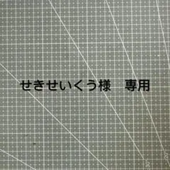 せきせいくう様　専用