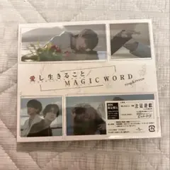 即購入可 新品未開封 King & Prince 愛し生きること 初回A