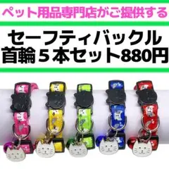 Item thumbnail for item bdcedd31-2873-4d3c-83b7-626c686ab0d5