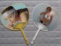Item thumbnail for item 98c3ea0f-7866-458f-a0ef-86adb4f9f9ec