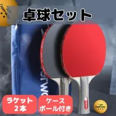 ◯値下げ◯ 卓球 ラケット 2本 ボール 家庭用 レジャー 初心者 中級者 新品