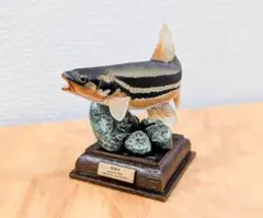 ネイチャーテクニカラー　日本の清流　ウグイ
