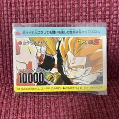 ドラゴンボールZ アマダ PPカード No.573 孫悟空
