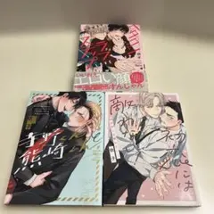依子先生(^_-) ラブラブBL 3冊セット