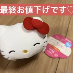 ここちぬい キティちゃん 保冷剤付き♡