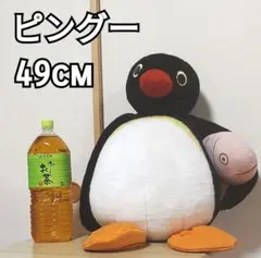 Item thumbnail for item ff41553d-2eb1-43c8-bb85-9eb8d9a77c08