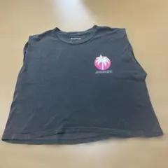 Jazzercise クロップド Tシャツ Lサイズ