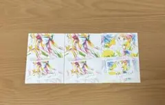 わたなべとまり ランダムブロマイド
