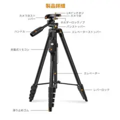 Item thumbnail for item 037f3241-f8d1-4929-99ff-14cb3b0baba7