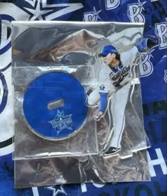 ベイスターズ　入江大生　ブラインド選手アクリルクリップ付きスタンド