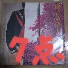 美品 遠藤ミチロウ オデッセイ1985 SEX 高音質SHM-CD 遠藤ミチロウ (Michiro, Get The Help!) / Odyssey 1985 Sex