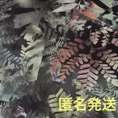 はぎれ生地　黒い背景とミックス柄