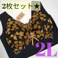 2L　2枚組　ナイトブラ　シームレスブラ　大きいサイズ　ワイヤーレスブラ