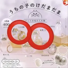 正規品 うちの子のけだまだま　茶トラ　三毛猫　2個セット　ガチャ