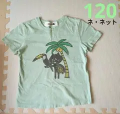 中古　ネネット　120 にゃー　ヤシの木　パイナップル　南国　男の子　女の子