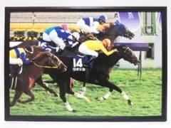 Item thumbnail for item 80279967-a8fd-45f3-9f2b-7b2f572be057