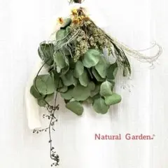 夏の　natural ユーカリ　ポポラスドライ　スワッグ♪