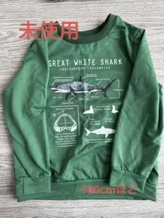 Item thumbnail for item 4df1ea94-f490-47d7-add6-37c87296c0ca