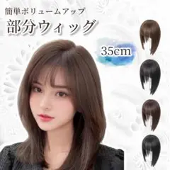 Item thumbnail for item 468173dd-4fec-4dae-91a7-a524b91c69ce