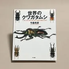 世界のクワガタムシ　今森 光彦　アリス館