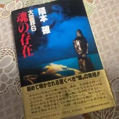 大霊界6 魂の存在