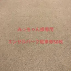 みっちゃん様専用 エンゼルパーク駐車券50枚セット