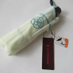 Item thumbnail for item 602c98ac-a0ae-452a-8320-031c433e18fa