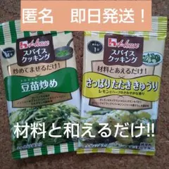H-house スパイスクッキング 2種　豆苗炒め、さっぱりたたき胡瓜　新品