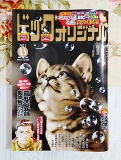 ビッグコミックオリジナル 2025年8月5日号 雑誌 週刊誌