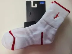 インザペイントソックス(ホワイト)25-28cm