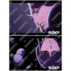 BLEACH ブリーチ 千年血戦篇 ブロマイド 涅ネム ※バラ売り可