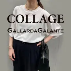 COLLAGE GALLARDAGLANTE シアー　半袖Tシャツ　白シャツ