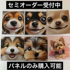 レアパネル　ワンちゃん柄ｗセット