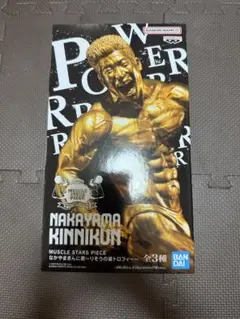 NAKAYAMA KINNIKUN ゴールドフィギュア