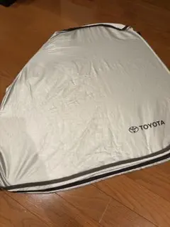 Item thumbnail for item 91f65b96-a8ae-4000-b2d3-a79e7547e6a0