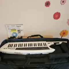 2025年最新】Roland AX synthの人気アイテム - メルカリ