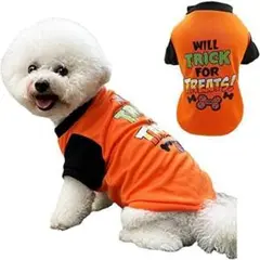 ハロウィンペット用品 犬用服 (オレンジTorT(Mサイズ)